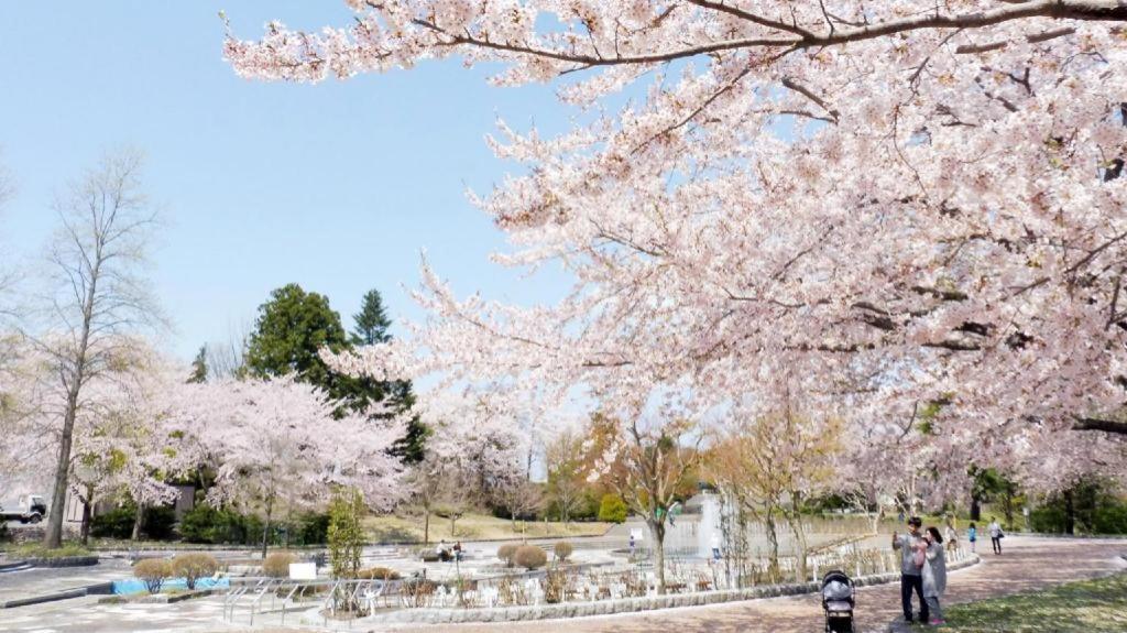 Grand Park Hotel Panex Hachinohe Exterior foto